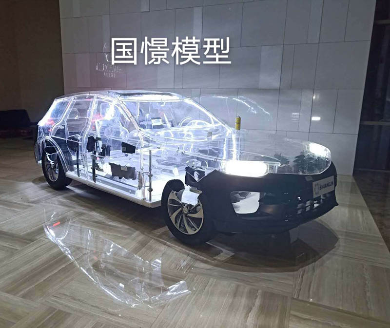 阜新透明车模型